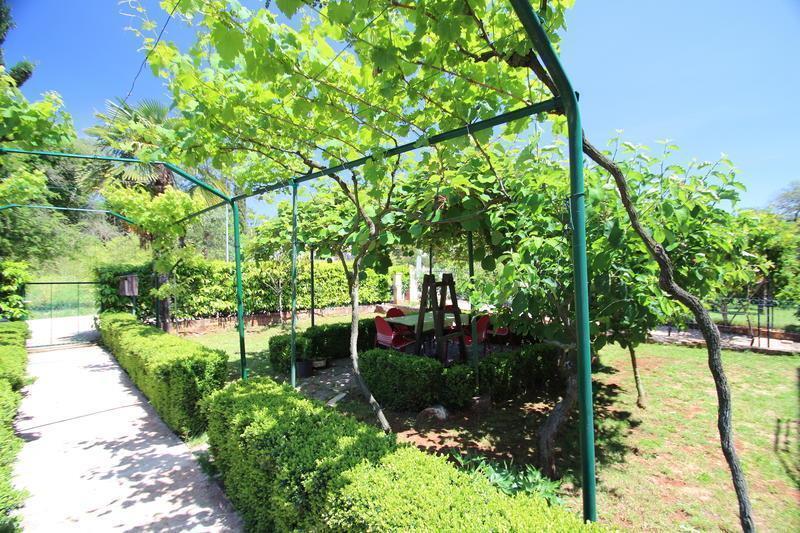 The Green House - 20M From The Beach Novigrad Istria Zimmer foto